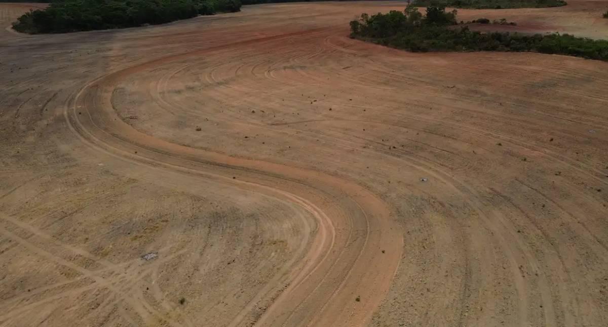 Leis de Rondônia e Mato Grosso contra Moratória da Soja são validadas pelo STF e geram alerta ambiental