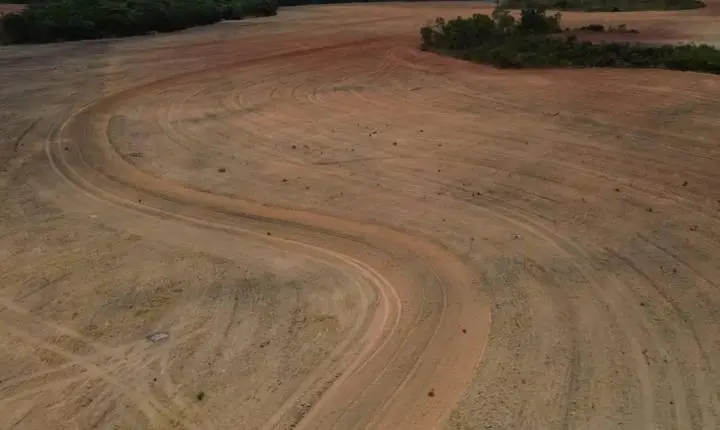 Leis de Rondônia e Mato Grosso contra Moratória da Soja são validadas pelo STF e geram alerta ambiental