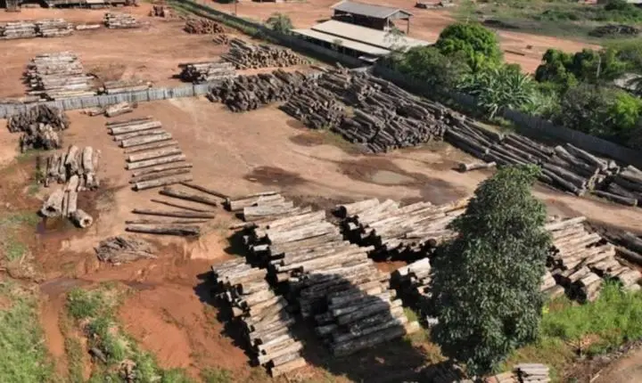 Operação conjunta fiscaliza madeireiras e combate crimes ambientais na Ponta do Abunã