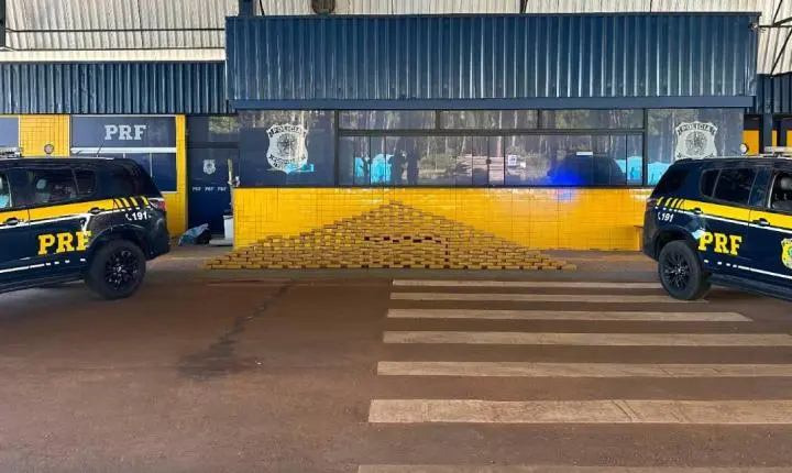 PRF em Rondônia apreende mais de 200 quilos de skunk escondidos em carga de paletes em RO